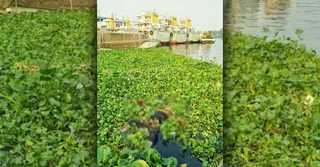 নারায়ণগঞ্জে শীতলক্ষ্যা নদী থেকে অজ্ঞাত যুবকের মরদেহ উদ্ধার